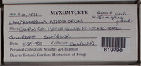 Image Associated With the Occurence